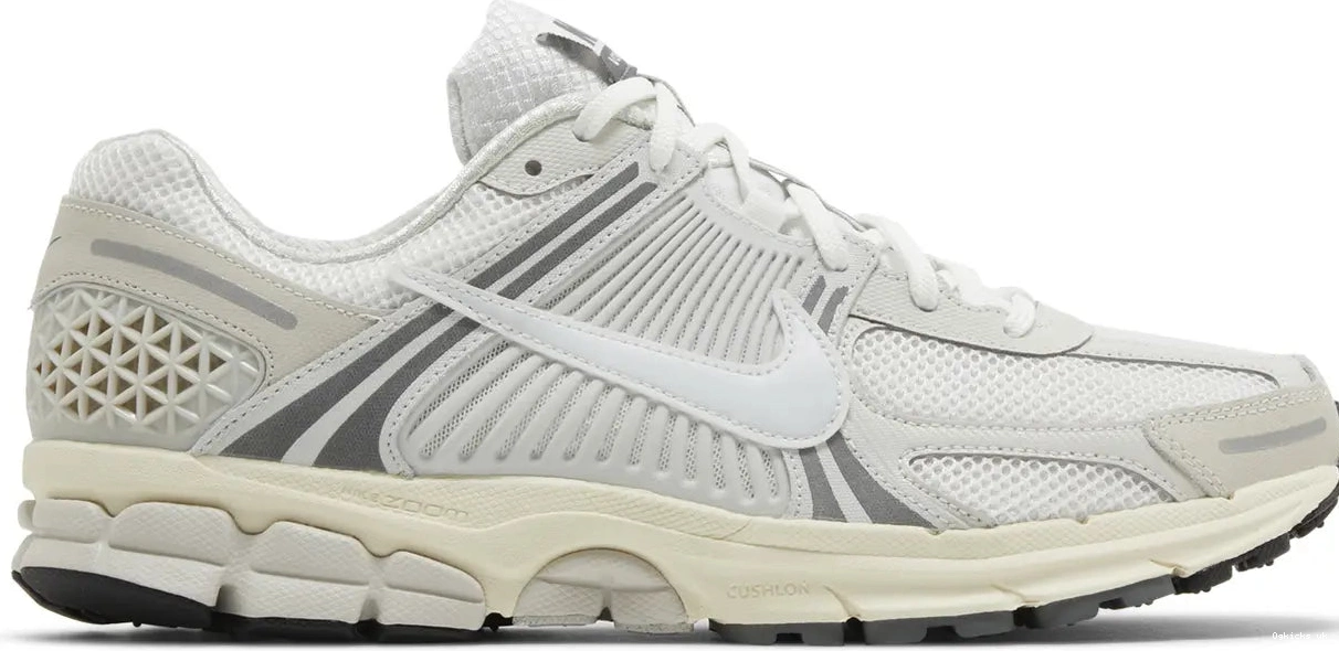 Platinum 5 Nike Vomero Tint Zoom 0601